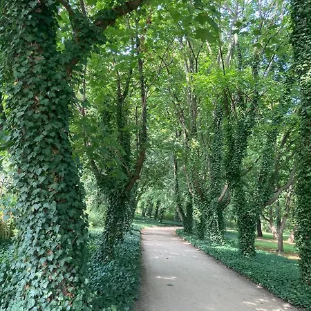 White Park Batorego Mokotow Centrum Wifi Free Smarttv Διαμέρισμα