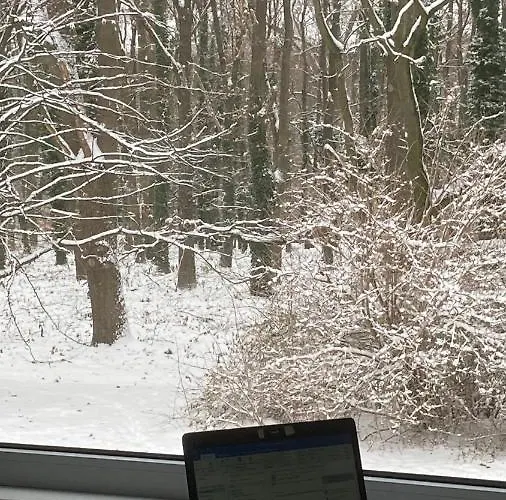 Apartman White Park Batorego Mokotow Centrum Wifi Free Smarttv Varsó