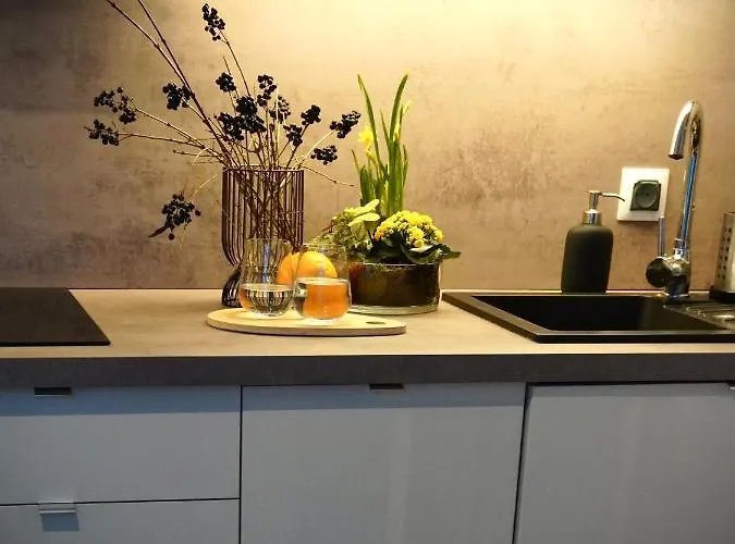 Apartman White Park Batorego Mokotow Centrum Wifi Free Smarttv Varsó