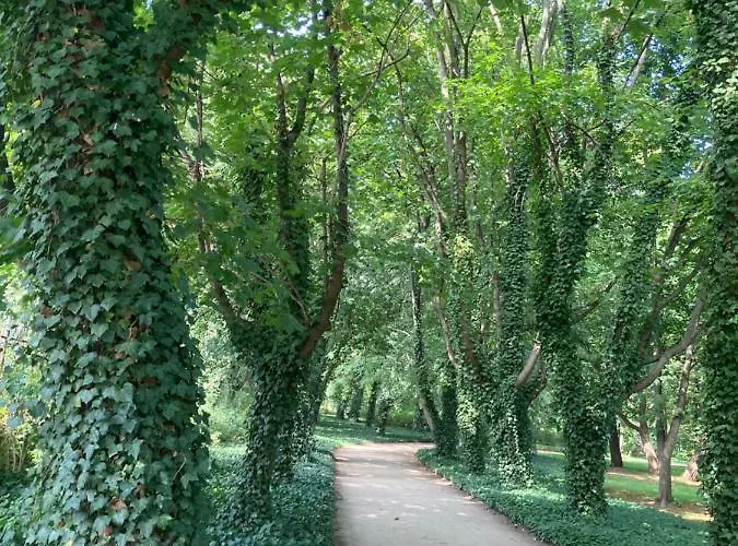 White Park Batorego Mokotow Centrum Wifi Free Smarttv Apartman